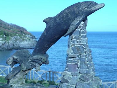 Aberporth dolphin 2